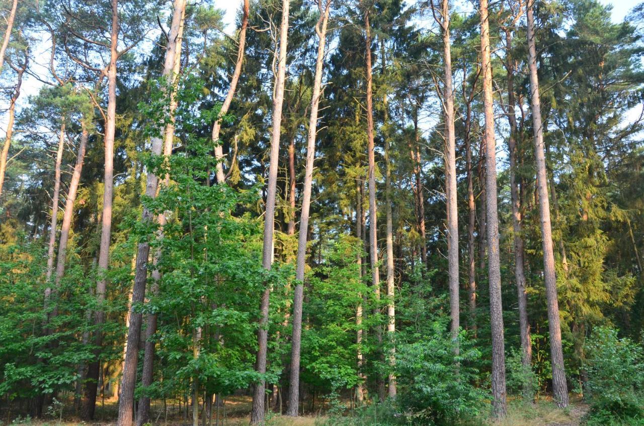 Apartament Blue Mare Pod Wiewiorka Łukęcin Bagian luar foto